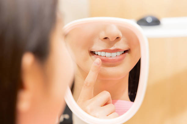 Affordable Dental solutions in Carrollwood, FL