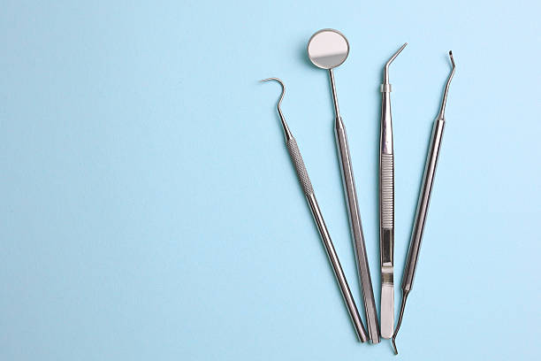 Top rated local Dental specialists in Carrollwood, FL